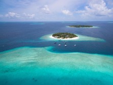 Malahini Kuda Bandos
